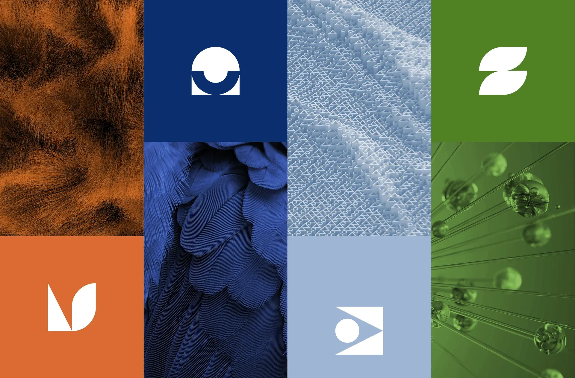 Helmholtz Model Zoo | Logodesign